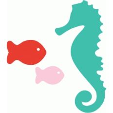 seahorse and fish