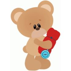 camping bear w sleeping bag and compass