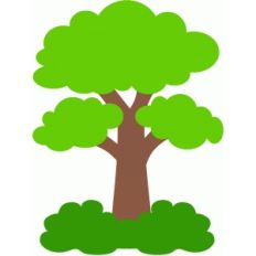 tree and bush
