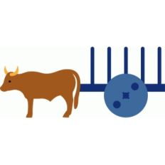 bullock cart