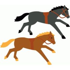 horses western