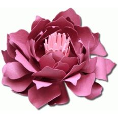 3d brandy tea rose