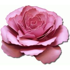 3d dublin tea rose