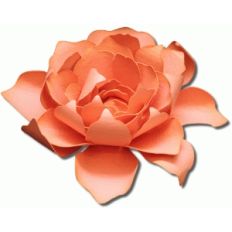 3d medallion tea rose