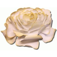 3d piscali tea rose