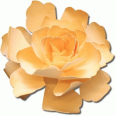 3d sunblest tea rose
