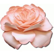 3d tiffany tea rose