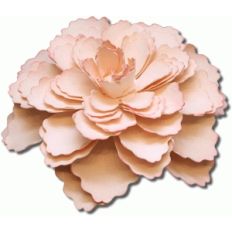 3d liberty carnation