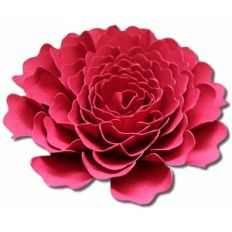 3d nelson carnation