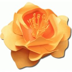 3d prickly pear flower