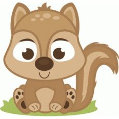 baby squirrel