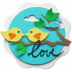 birds