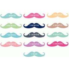 monthly baby moustaches