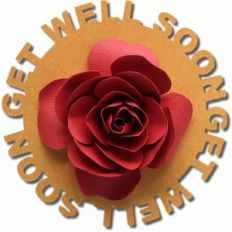 get well soon sentiment flower