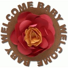 welcome baby sentiment flower