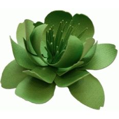 3d flower