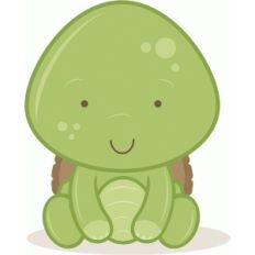 baby turtle