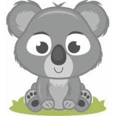baby koala