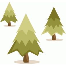 pine trees