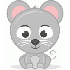 baby mouse