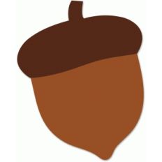 acorn