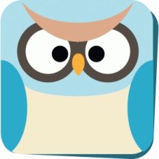 owl card