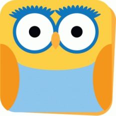 owl card