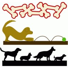 dog borders