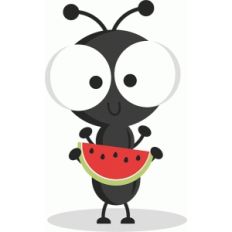 picnic ant