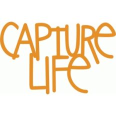 capture life - handwritten phrase