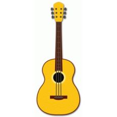 acoustic guitar