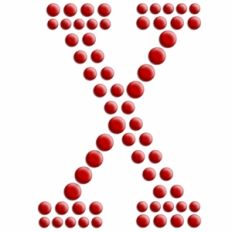 monogram x