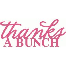 thanks a bunch