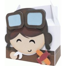 cute aviator box