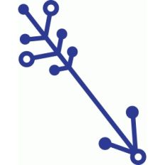 constellation arrow