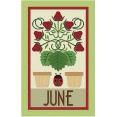 june calendar graphica quilt panel