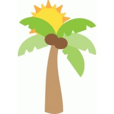 sunny palm tree