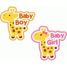 giraffe baby