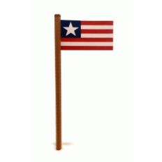3d flagpole and flag one star