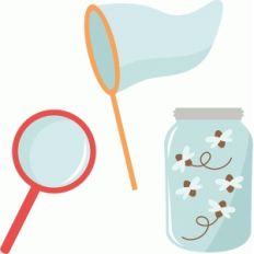 bug catching set