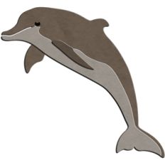 bottle nosed dolphin