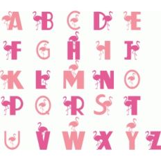flamingo alphabet