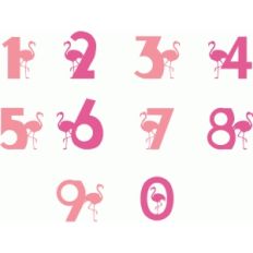 flamingo numerals
