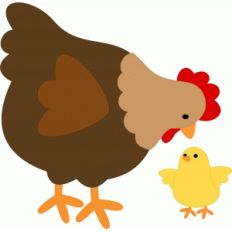 chicken and chick