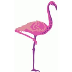 pink flamingo
