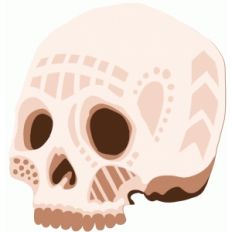 human skull