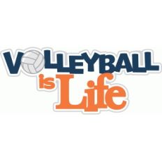 volleyball is life title