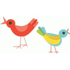 birds