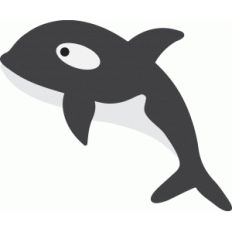 killer whale