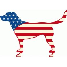 stars and stripes dog